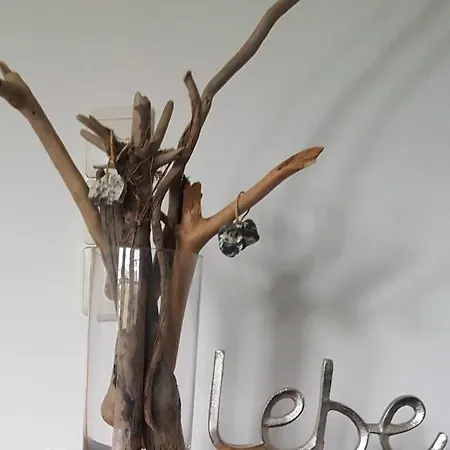 Appartamento Am Darsswald Og Born